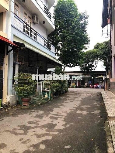 cho thuê nhà đẹp rộng 3pn 15tr