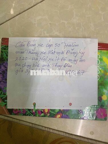 Xe Cub 50cc Halim màu trắng