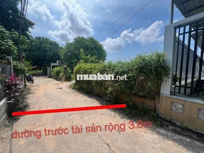 Bán đất full thổ cư, 598m2 tại Phú Long, Hàm Thuận Bắc