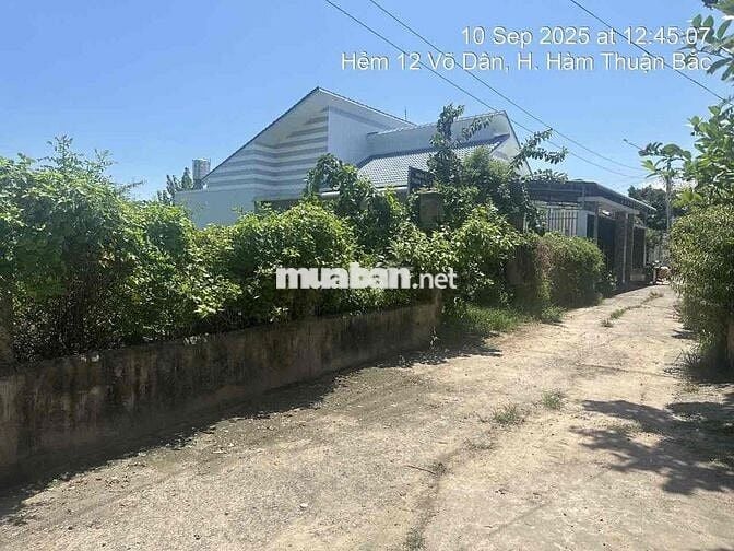 Bán đất full thổ cư, 598m2 tại Phú Long, Hàm Thuận Bắc