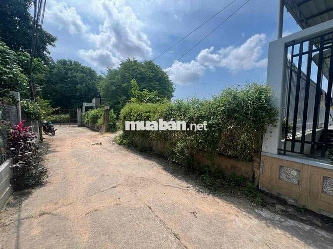 Bán đất full thổ cư, 598m2 tại Phú Long, Hàm Thuận Bắc