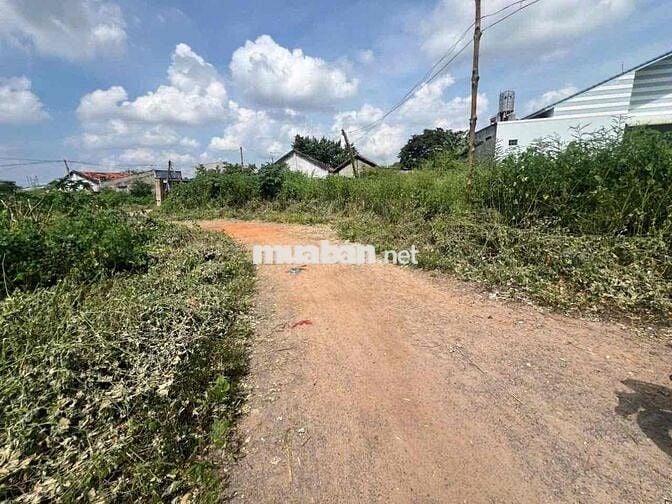 Bán đất full thổ cư, 598m2 tại Phú Long, Hàm Thuận Bắc