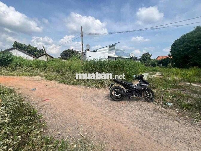 Bán đất full thổ cư, 598m2 tại Phú Long, Hàm Thuận Bắc