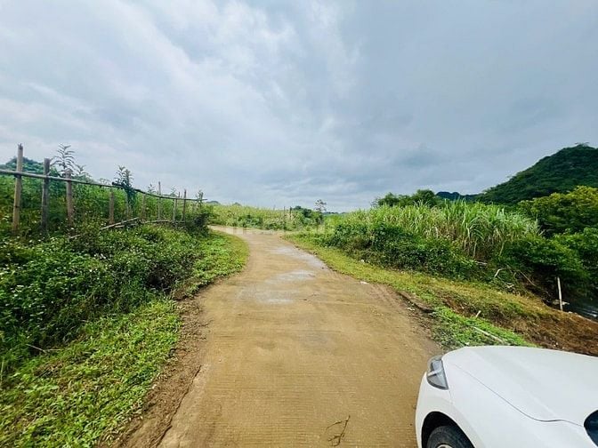 cần bán lô đất trồng cây hàng năm tổng dt 2675,8m2 giá bán 386tr 