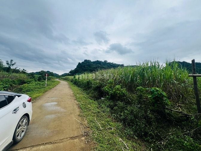 cần bán lô đất trồng cây hàng năm tổng dt 2675,8m2 giá bán 386tr 