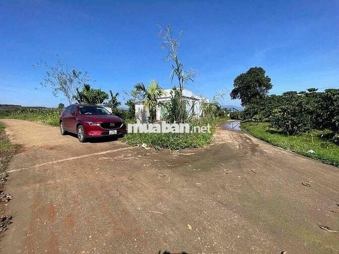 Bán lô đất đẹp tại xã Đinh Văn - Lâm Hà chỉ 580 triệu