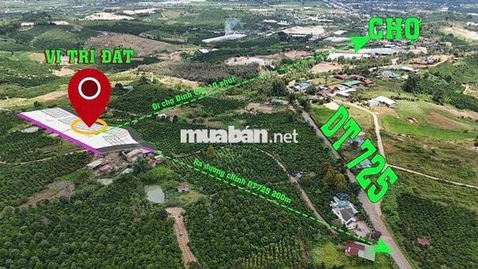 Bán lô đất đẹp tại xã Đinh Văn - Lâm Hà chỉ 580 triệu