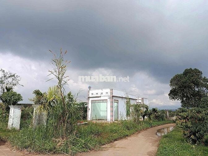 Bán lô đất đẹp tại xã Đinh Văn - Lâm Hà chỉ 580 triệu