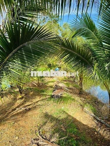 ĐÁT GIÁP HỒ TRỊ AN LA NGÀ ĐỒNG NAI