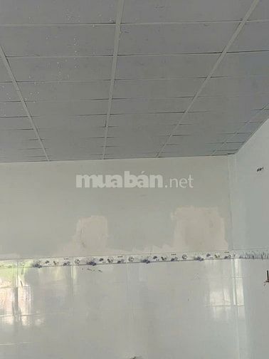 Cho thuê nhà đường 8m Lâm Thị Hố, Tân Chánh Hiệp, Quận 12, 4,8x16