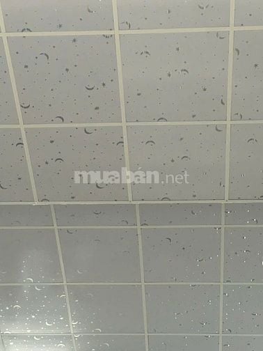 Cho thuê nhà đường 8m Lâm Thị Hố, Tân Chánh Hiệp, Quận 12, 4,8x16