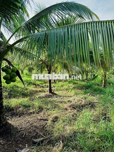 ĐÁT GIÁP HỒ TRỊ AN LA NGÀ ĐỒNG NAI