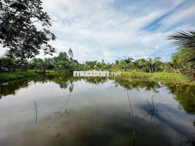 ĐÁT GIÁP HỒ TRỊ AN LA NGÀ ĐỒNG NAI