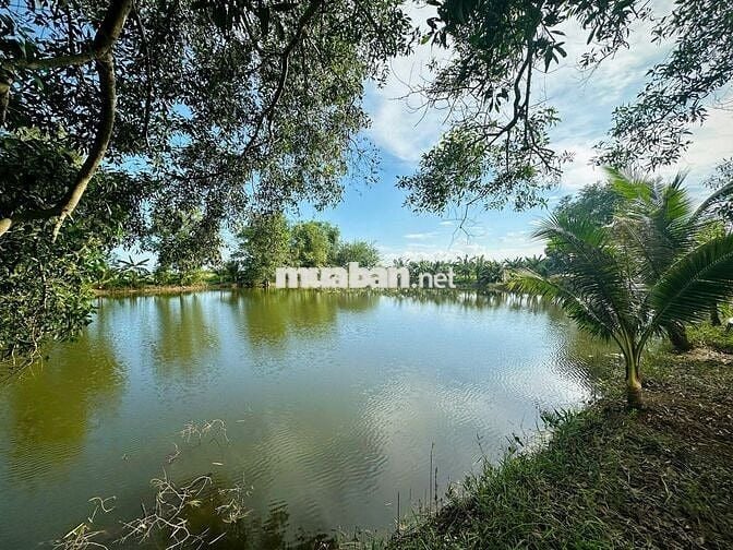 ĐÁT GIÁP HỒ TRỊ AN LA NGÀ ĐỒNG NAI