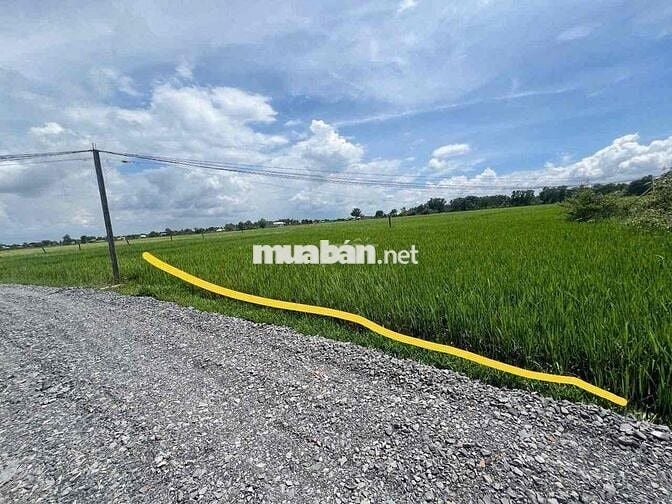 Đất Đức Hoà Thượng 5x22m giá 520tr