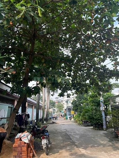 Cho thuê nhà đường 8m Lâm Thị Hố, Tân Chánh Hiệp, Quận 12, 4,8x16