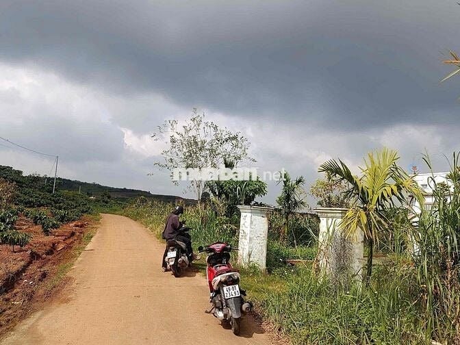 Bán lô đất đẹp tại xã Đinh Văn - Lâm Hà chỉ 580 triệu