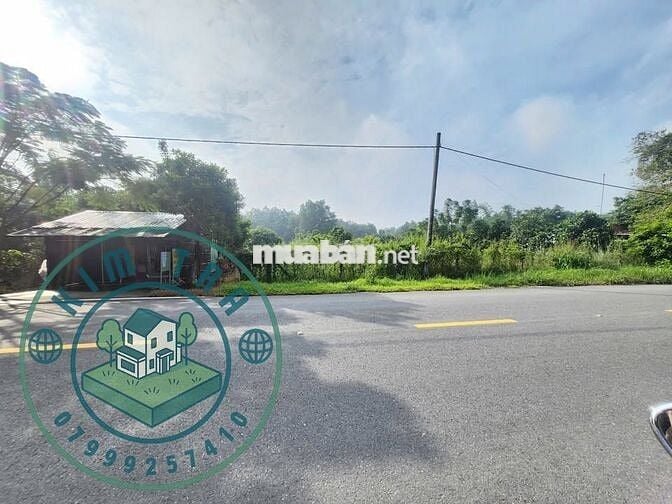 Anh Tư cần bán gấp 270m2 đất thổ ở Phước Vĩnh An – Giá 830tr