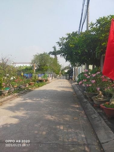 🌹 Nhà hẻm xe hơi 237/ Phạm Hùng, N Bè, 12,6x30m, 1 Lầu, sổ hồng.