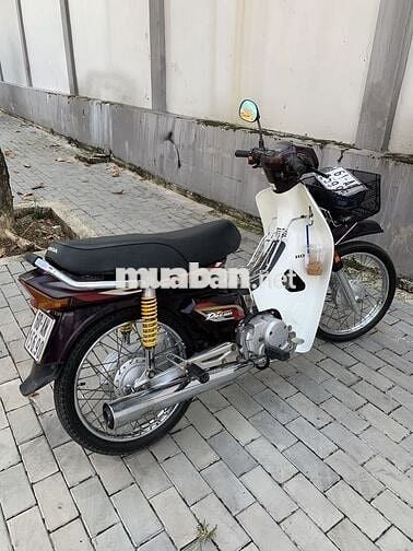 Honda Super Dream 2003 Trắng Nâu