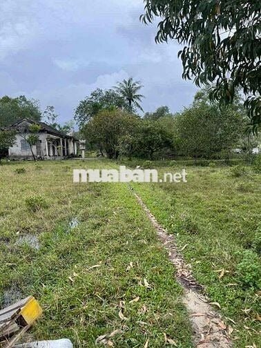 Nhà riêng nằm tại Đường Chân Mây, Xã Lộc Vĩnh, Phú Lộc, Thừa Thiên Huế