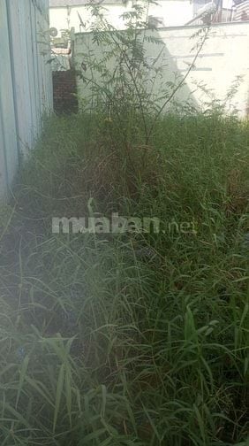 Đất bán 1 sẹc đường Lê Thị Dung 