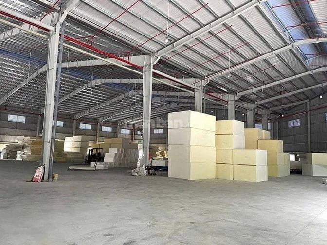 Cho thuê 3 kho trong KCN Thuận Đạo , Cần Đước, Long An , PCCC tự động 