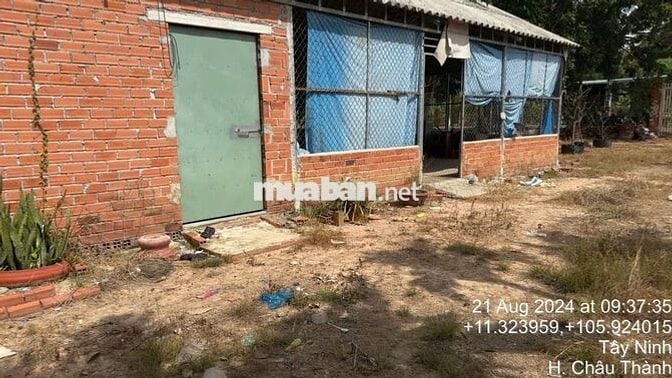 Đất sổ sẵn 2500m Châu Thành Tây Ninh