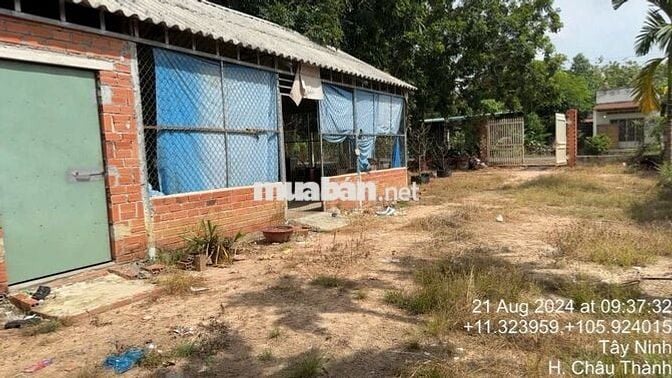 Đất sổ sẵn 2500m Châu Thành Tây Ninh