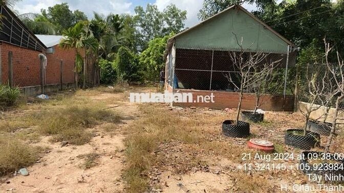 Đất sổ sẵn 2500m Châu Thành Tây Ninh