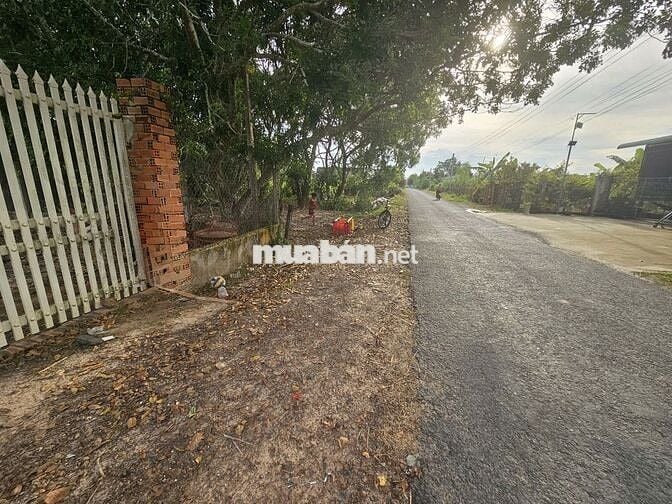 Đất sổ sẵn 2500m Châu Thành Tây Ninh