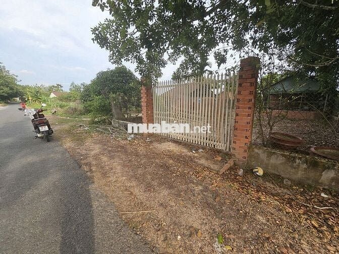 Đất sổ sẵn 2500m Châu Thành Tây Ninh