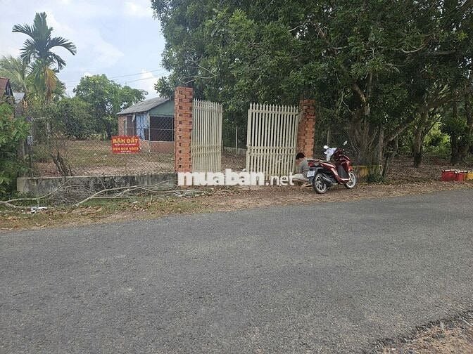 Đất sổ sẵn 2500m Châu Thành Tây Ninh