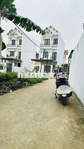 Hàng hiếm tại Dân Hạnh đặng cương an dương (cũ)