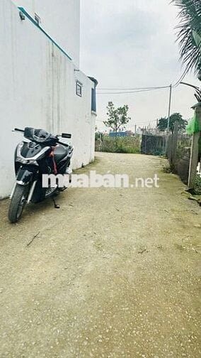 Hàng hiếm tại Dân Hạnh đặng cương an dương (cũ)