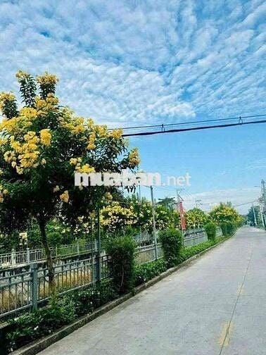 đất khu phân lô dt. 6,2x18,3 m p. thạnh lộc q12