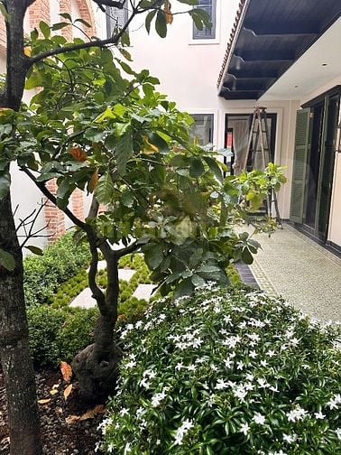 Bán biệt thự phong cách Indochina MT Trần Khánh Dư Q.1 giá 185 tỷ