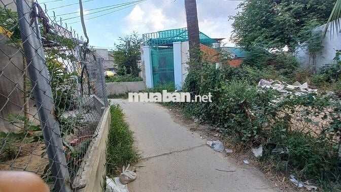 BÁN ĐẤT TRƯỜNG CHINH - VĂN HẢI - GIÁ RẺ