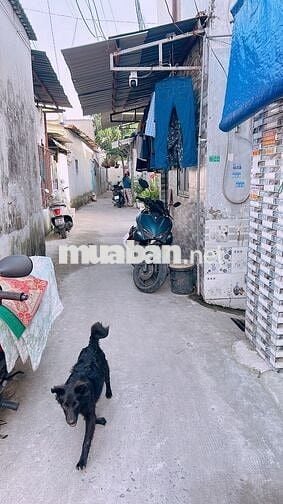 Cho thuê phòng trọ gần Huflit Hóc môn giờ tự do