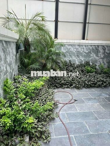 Cho thuê song lập nhà vườn nội thất cao cấp đẹp nhất OCP gia lâm