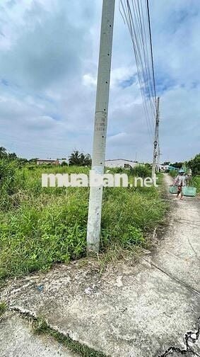 Chính chủ bán sỉ lẻ 5 lô đất Phường 5, Tân An