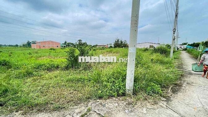 Chính chủ bán sỉ lẻ 5 lô đất Phường 5, Tân An