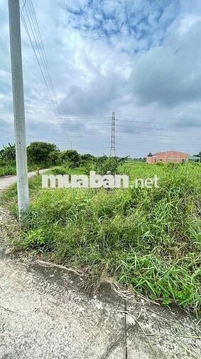 Chính chủ bán sỉ lẻ 5 lô đất Phường 5, Tân An