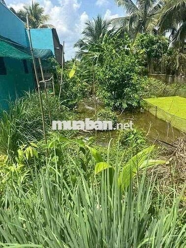 ĐẤT THỔ GIA RẺ NGUYỄN VĂN QUÁ LỢI BÌNH NHƠN