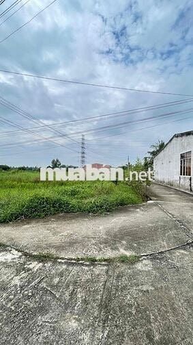 Chính chủ bán sỉ lẻ 5 lô đất Phường 5, Tân An