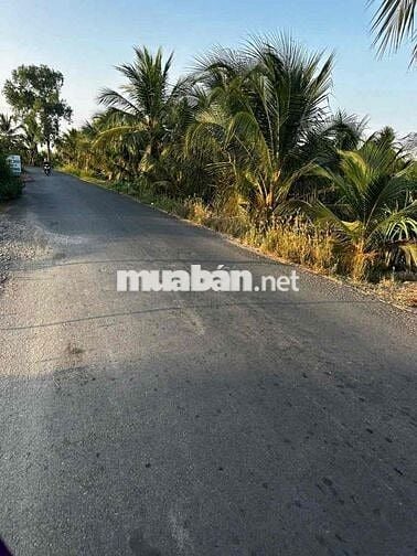 ĐẤT THỔ GIA RẺ NGUYỄN VĂN QUÁ LỢI BÌNH NHƠN