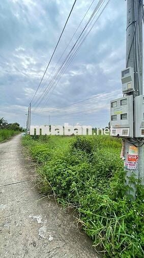 Chính chủ bán sỉ lẻ 5 lô đất Phường 5, Tân An