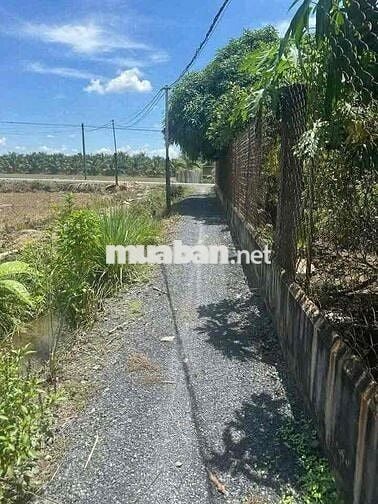 ĐẤT THỔ GIA RẺ NGUYỄN VĂN QUÁ LỢI BÌNH NHƠN