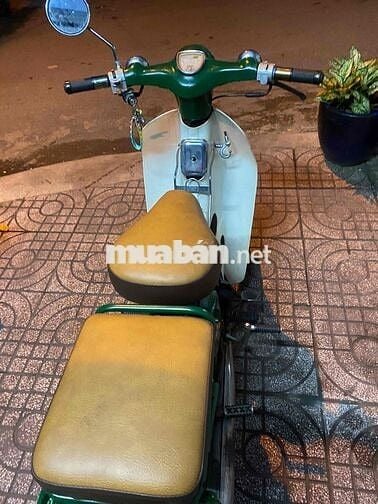 Honda Cub 50cc Xanh lá, Trắng