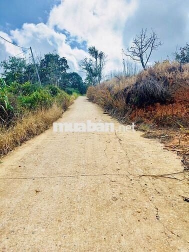 Chính chủ bán đất  view điện gió săn mây Cầu Đất nét 2 tỷ 5 - 855m